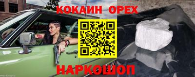 сатива Будённовск