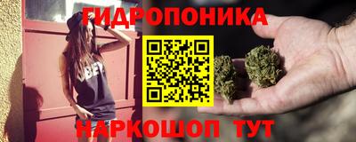 сатива Будённовск
